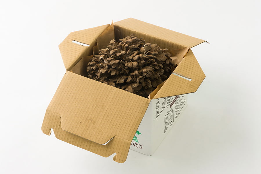 最上まいたけ／コクうま舞茸