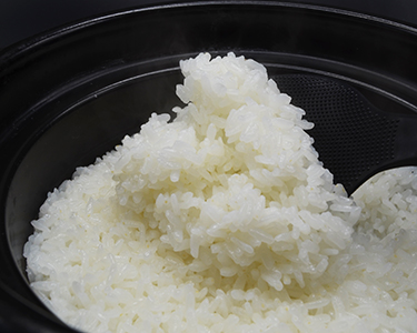 山形の米いのちの壱
