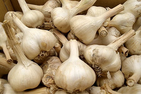 仲島農園仲島屋