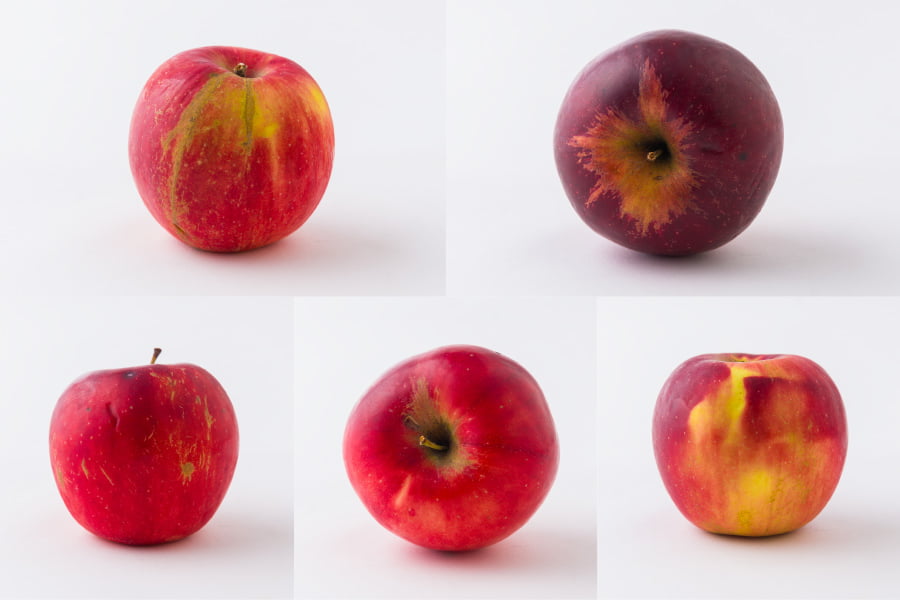 森谷果樹園/葉取らずりんご紅玉(こうぎょく)