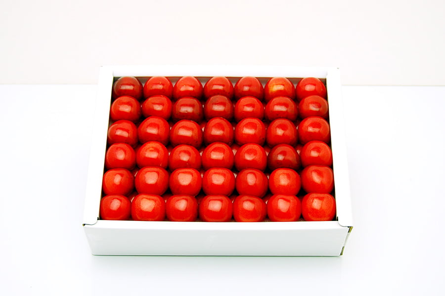 芳醇大粒芳醇さくらんぼ佐藤錦