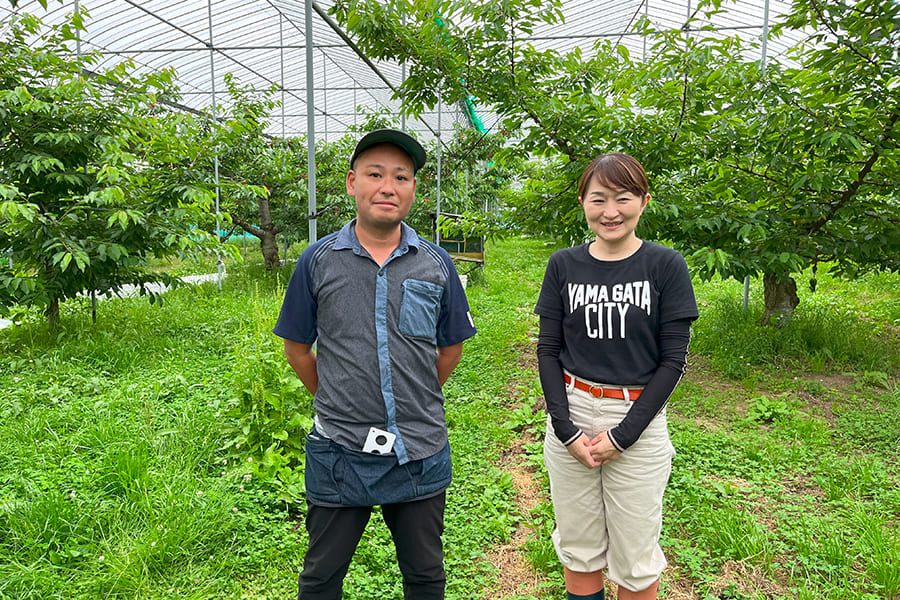芳醇大粒さくらんぼ