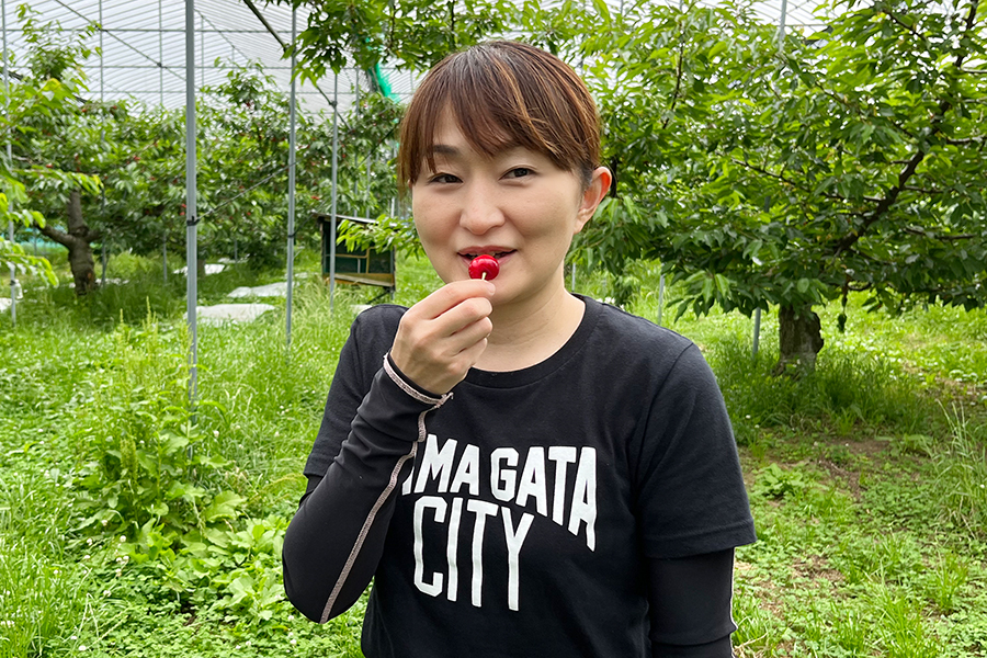 芳醇大粒さくらんぼ