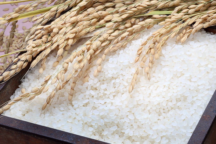 夢味米／山形県産はえぬき10kg(2kg×5)BG無洗米