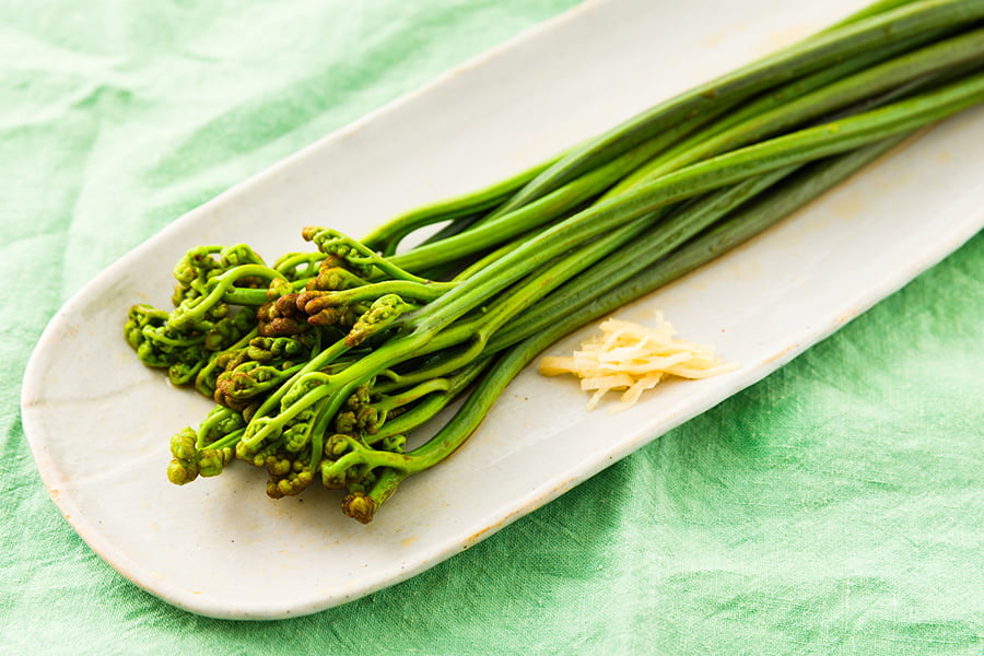 朝穫り山菜 わらび