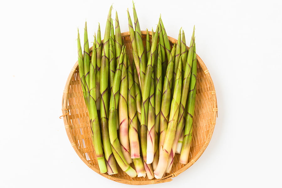 朝穫り山菜 細竹(根曲がり筍)