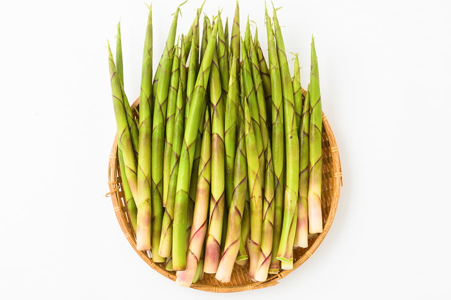 朝穫り山菜 細竹(根曲がり筍)