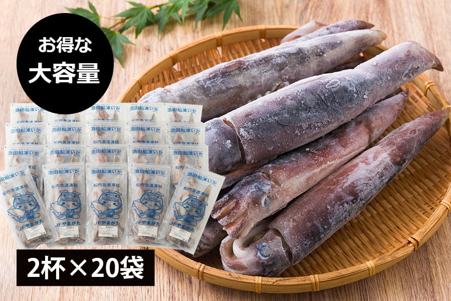 酒田船凍イカ