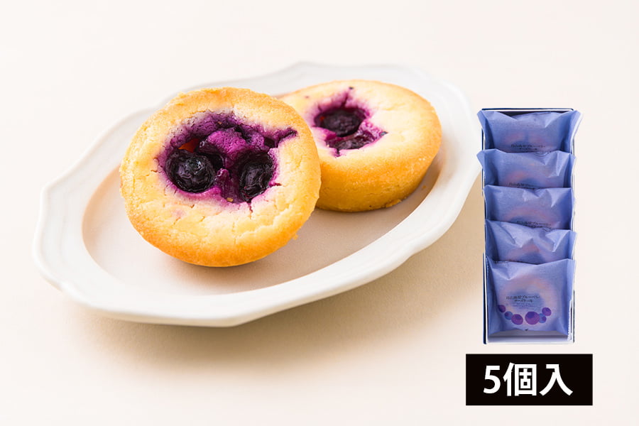 酒田菓匠菊池／月山高原ブルーベリーチーズケーキ