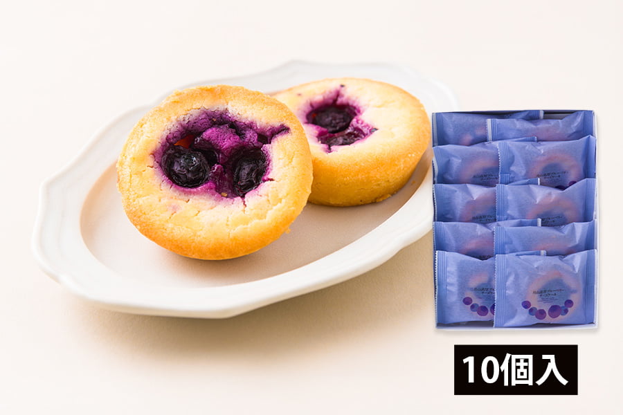 酒田菓匠菊池／月山高原ブルーベリーチーズケーキ