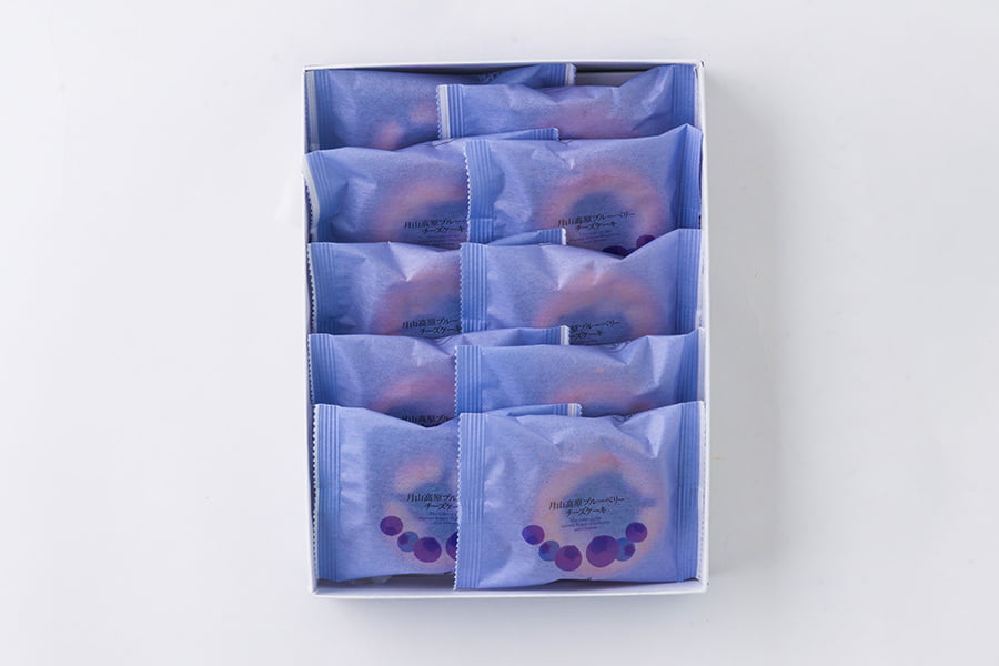 酒田菓匠菊池／月山高原ブルーベリーチーズケーキ