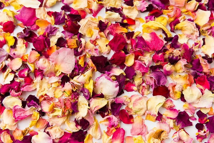 ナカイローズファーム