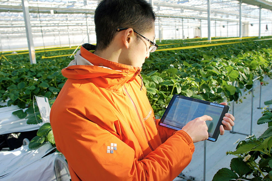 株式会社GRA「ミガキイチゴ」