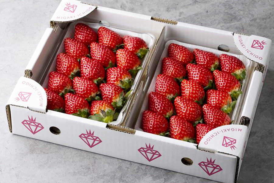 【旅する特産品】MIGAKI-ICHIGO／宮城県産いちご ミガキイチゴ シルバー