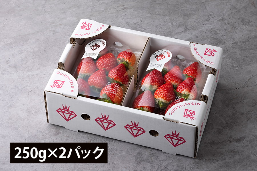 【旅する特産品】MIGAKI-ICHIGO／宮城県産いちご ミガキイチゴ シルバー
