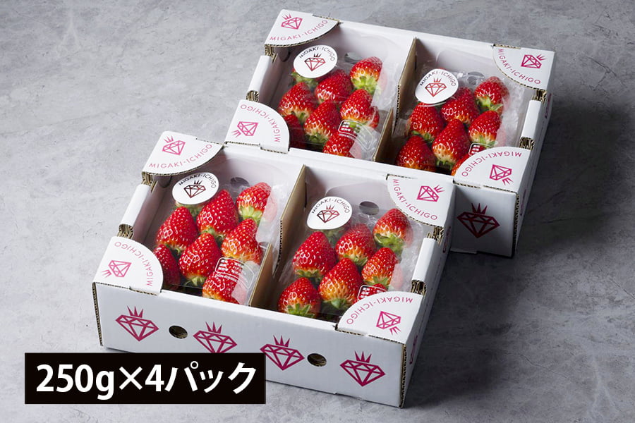 【旅する特産品】MIGAKI-ICHIGO／宮城県産いちご ミガキイチゴ シルバー