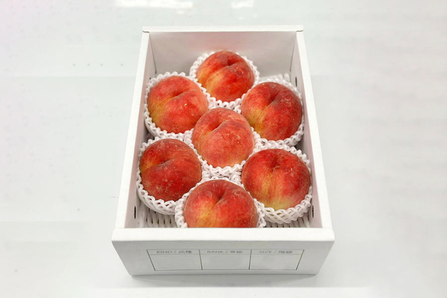 【数量限定】山形の白桃硬おもい2kg（4玉～7玉入り）【硬い桃】