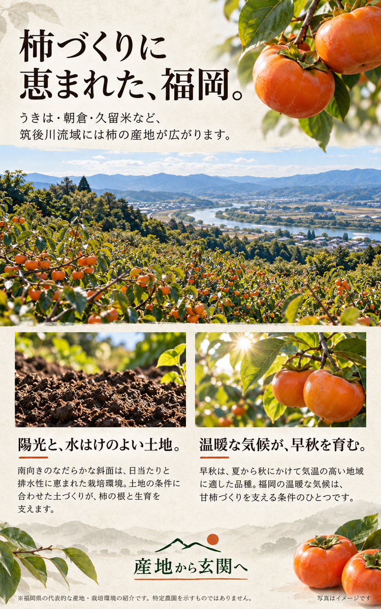 福岡 果物