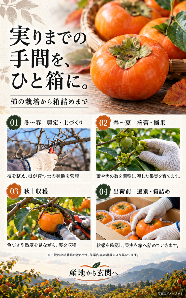 ふくおか 早秋柿