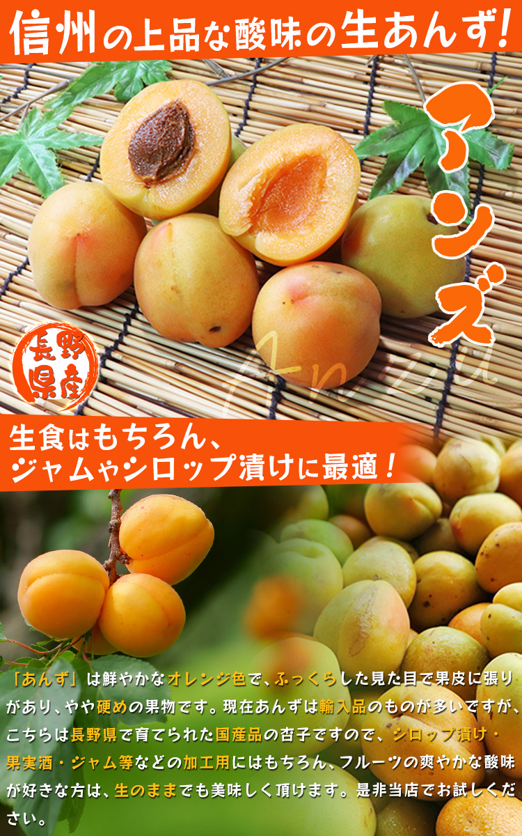 アンズ 長野