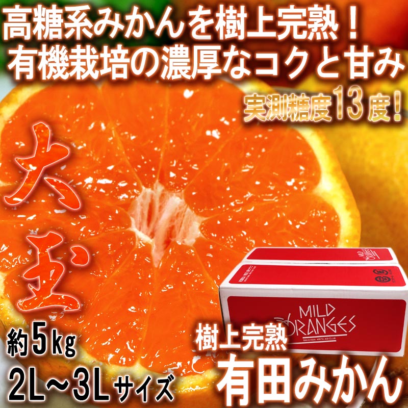 有田みかん 通販