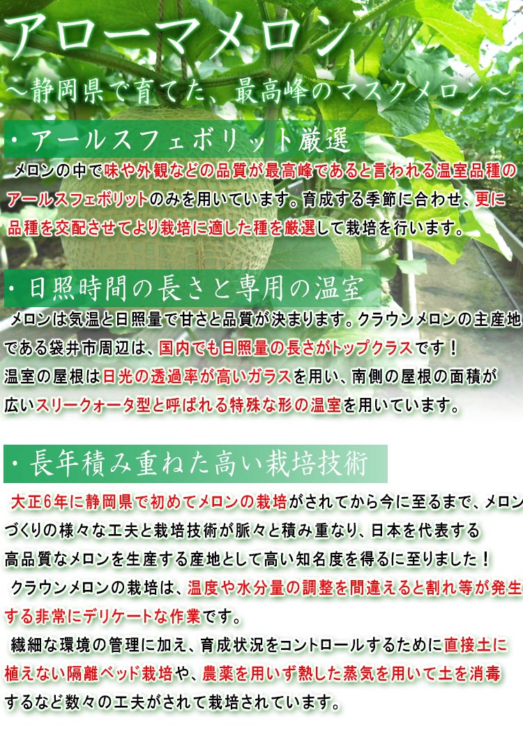 マスクメロン ギフト