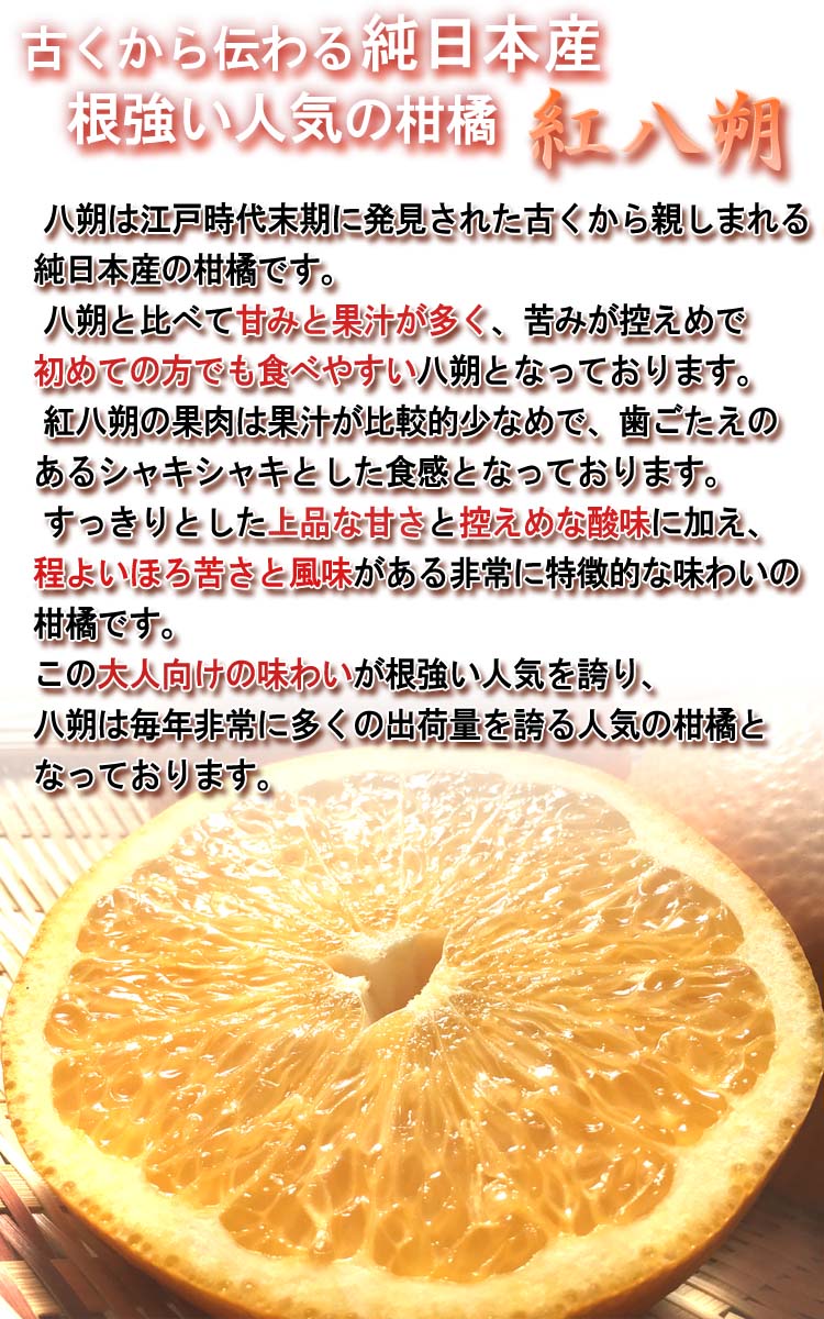 紅八朔 柑橘