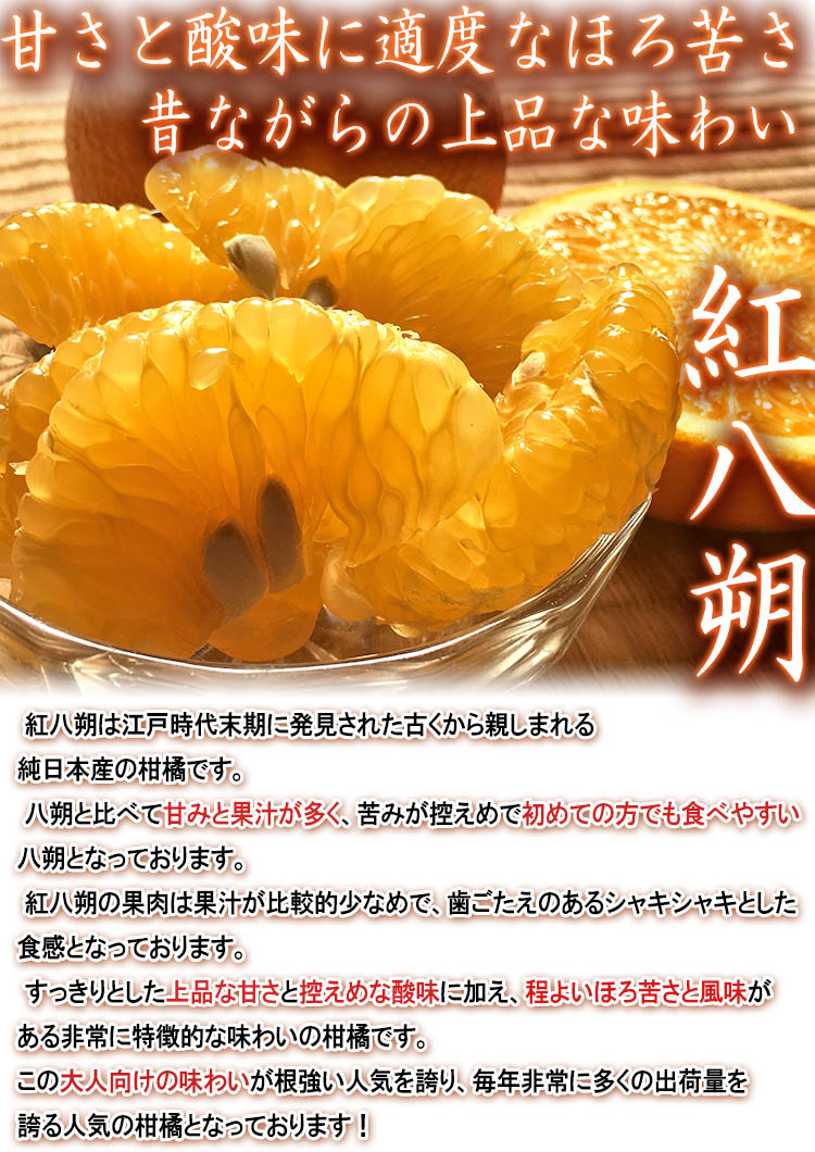 紅八朔 フルーツ