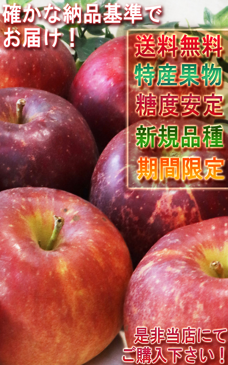 送料無料 通販