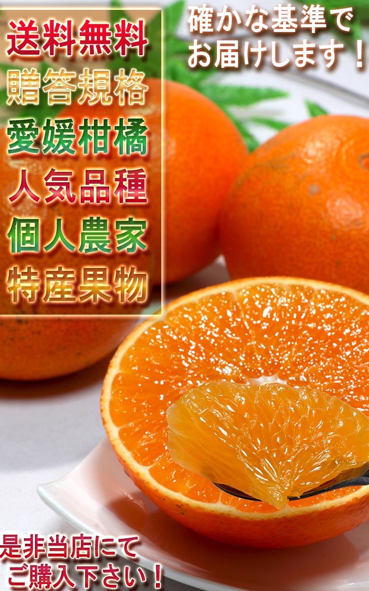 ギフト 媛まどんな