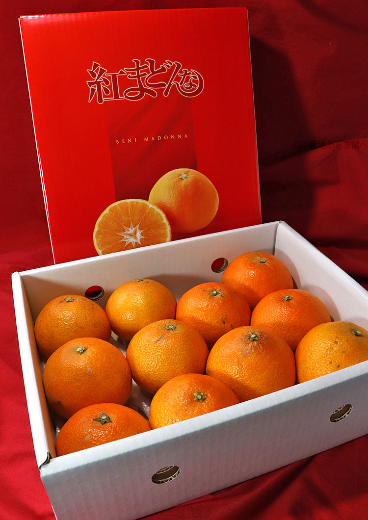 果物 紅まどんな