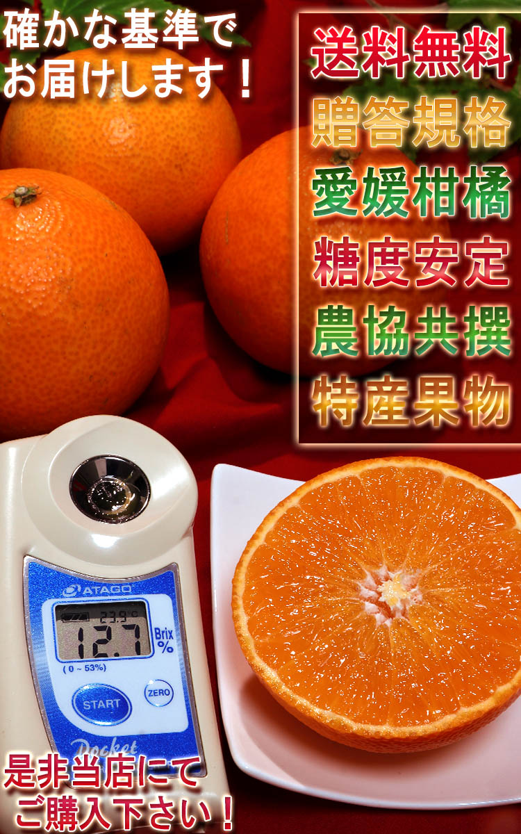 ギフト 紅まどんな