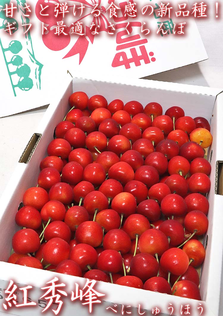 紅秀峰 さくらんぼ