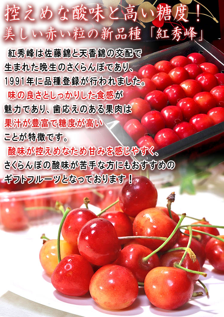 サクランボ ギフト