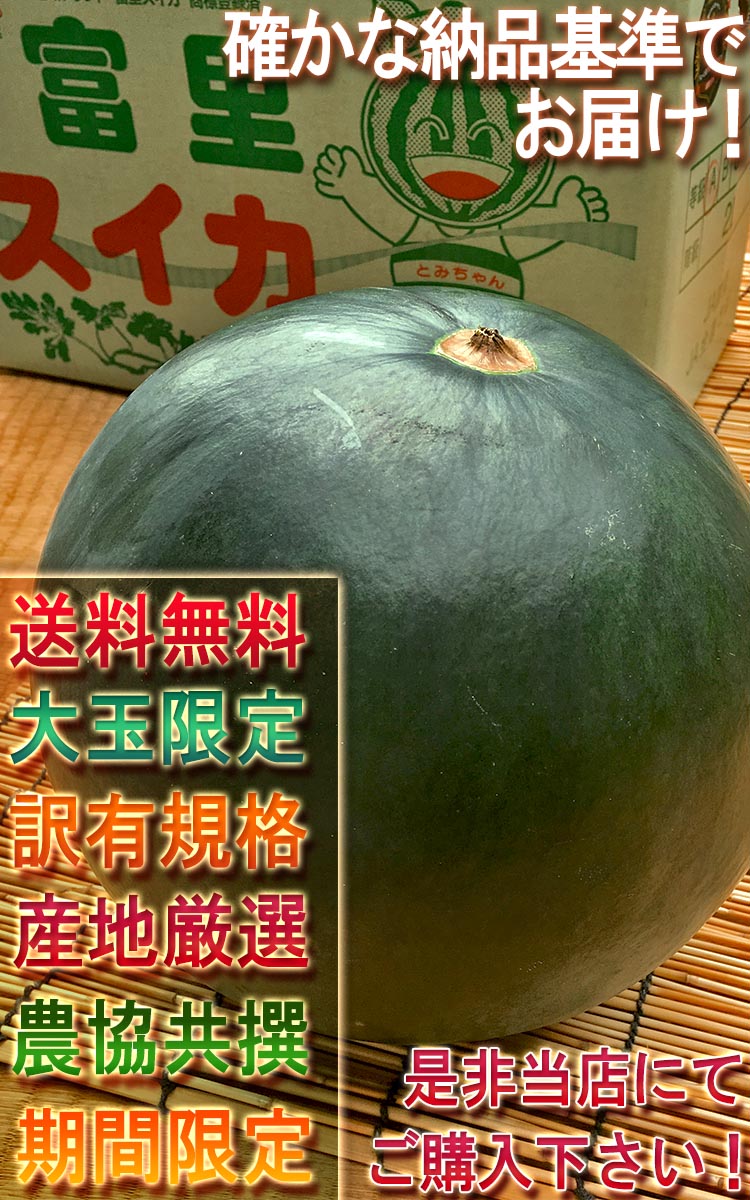 フルーツ ギフト