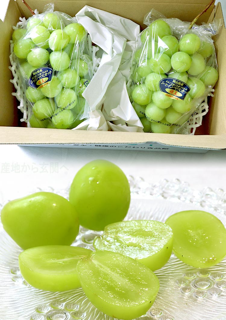 ぶどう はれおう