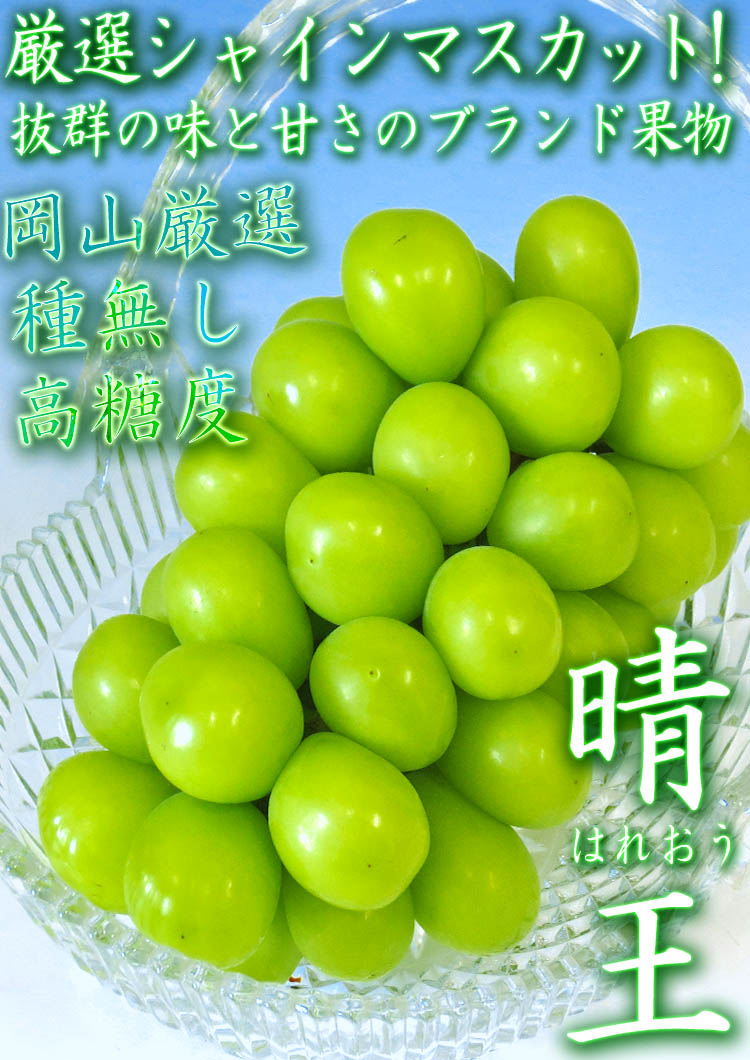 晴王 ぶどう