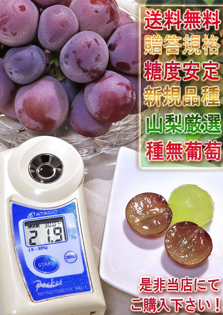 赤ぶどう ギフト