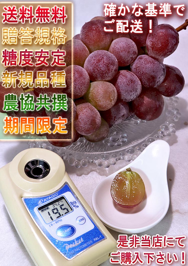 ギフト ぶどう