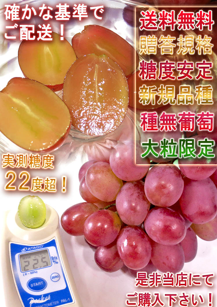 紫苑 くだもの