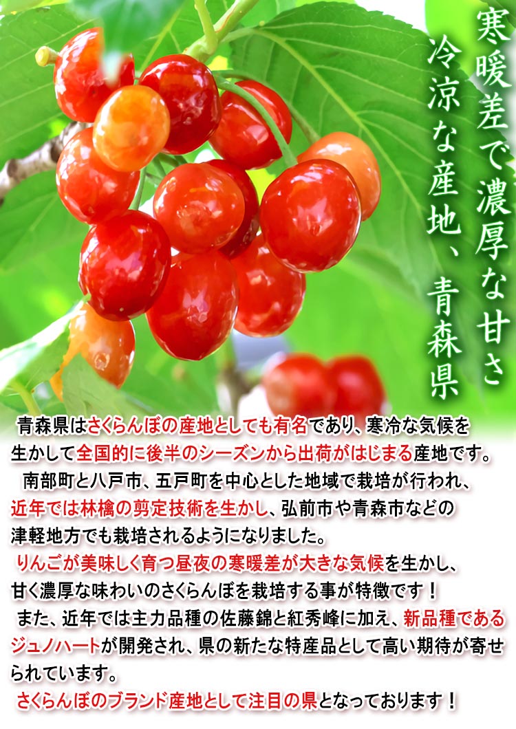 青森 フルーツ