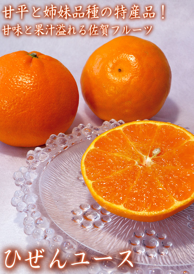 ひぜんユース 佐賀