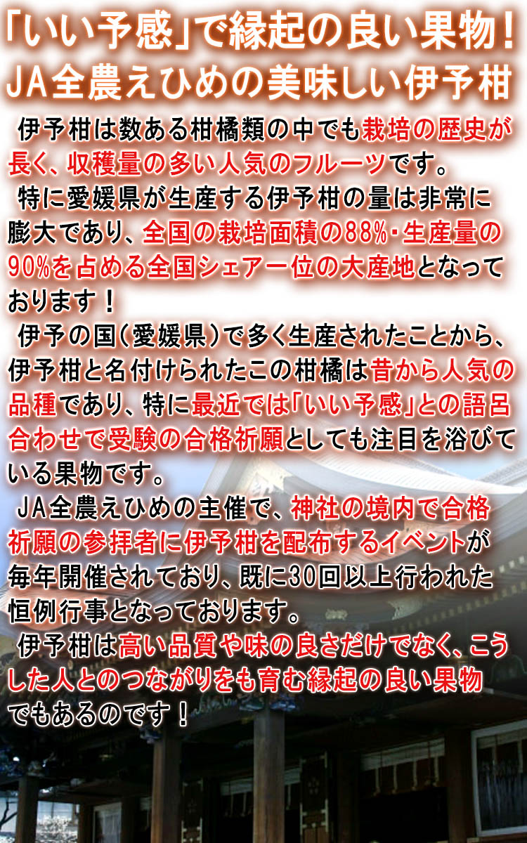 いよかん えひめ