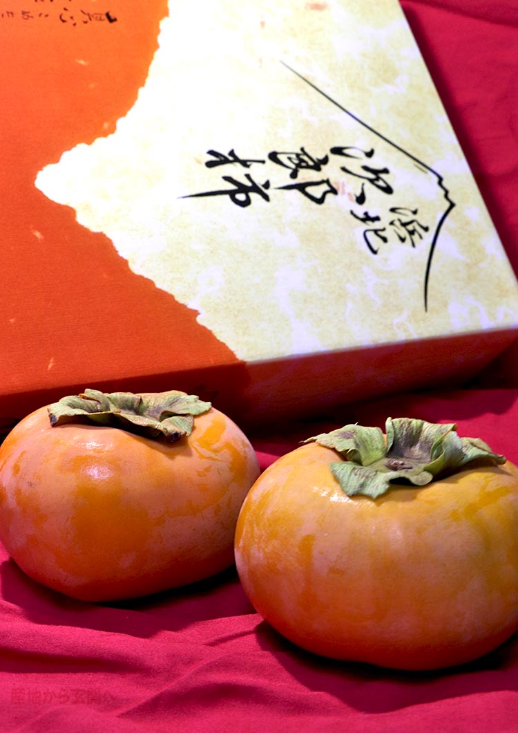 次郎柿 浜北