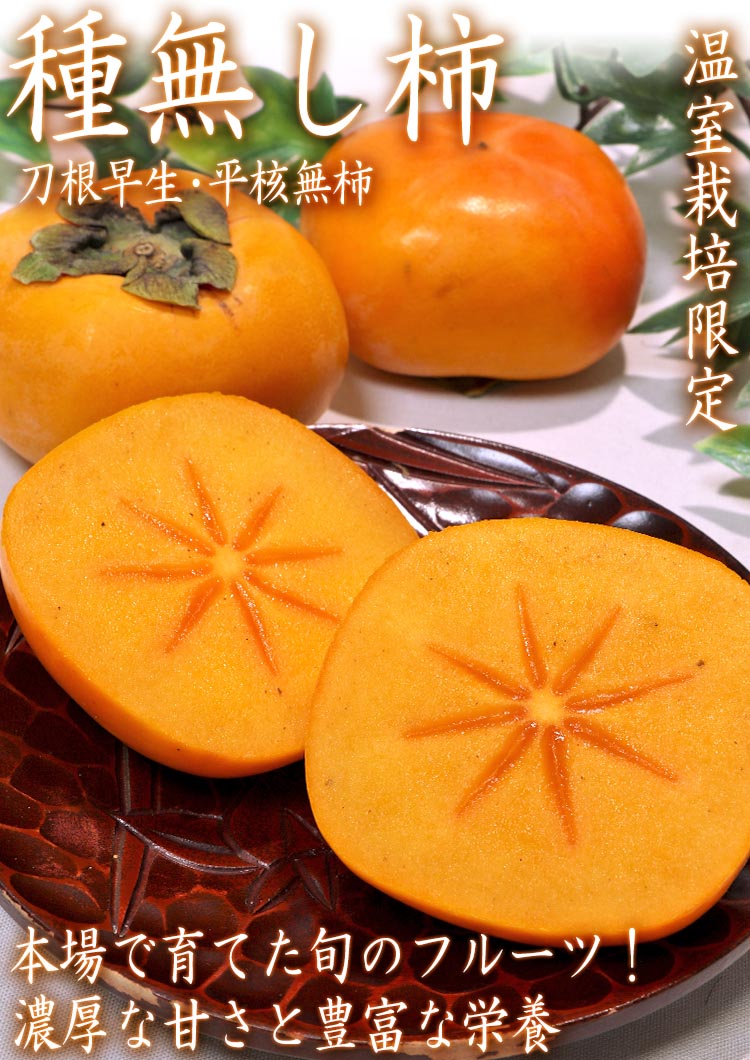 たねなし柿 フルーツ