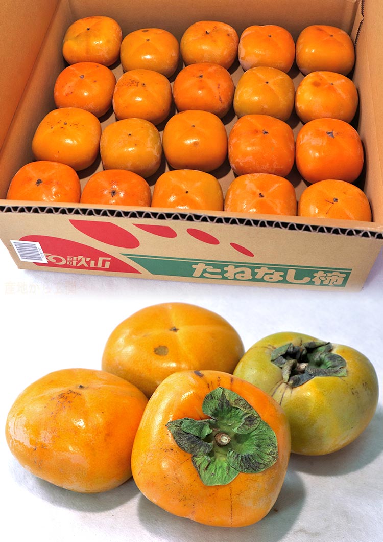 家庭用 果物