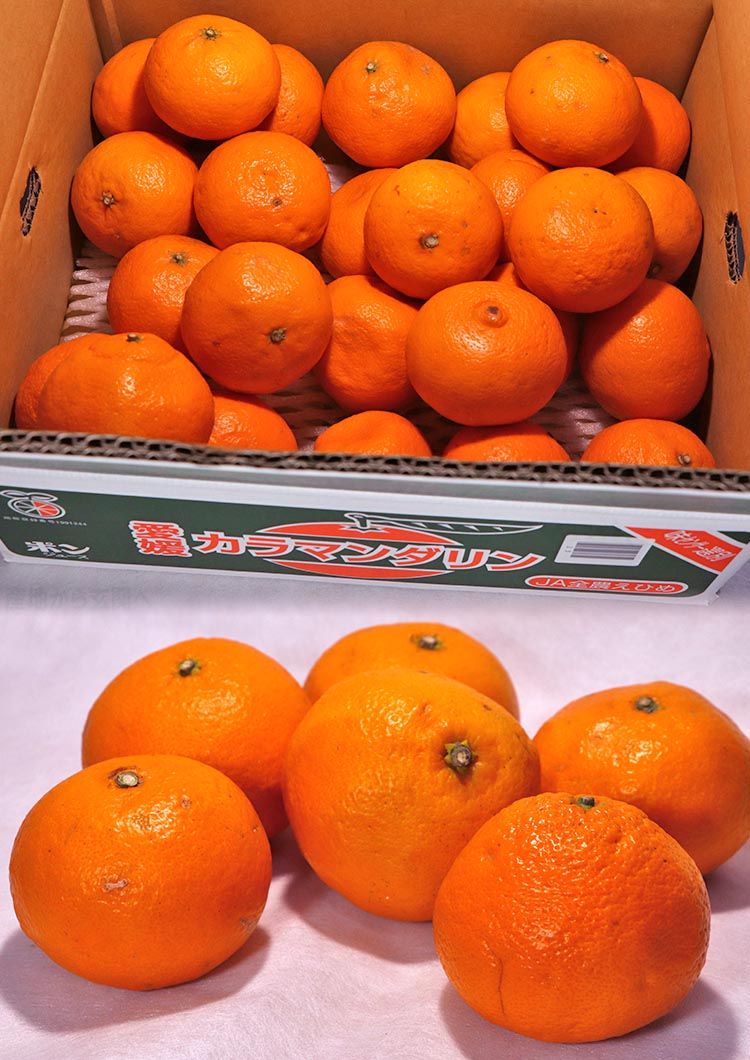 蜜柑 カラマンダリン