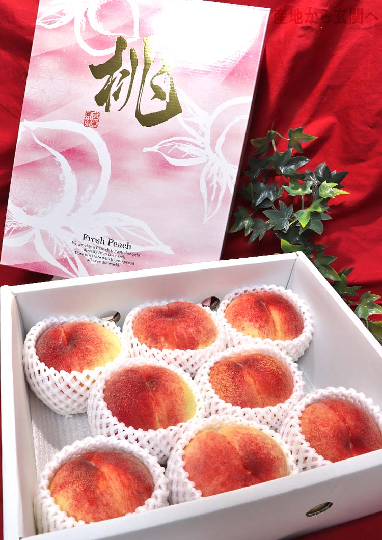 笛吹 モモ