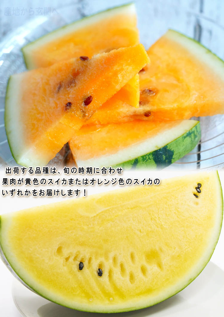 クリームスイカ 大玉
