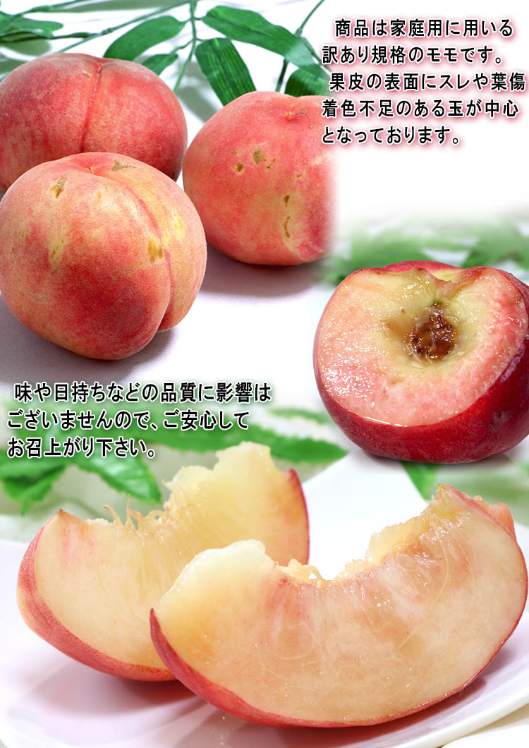 訳あり 果物